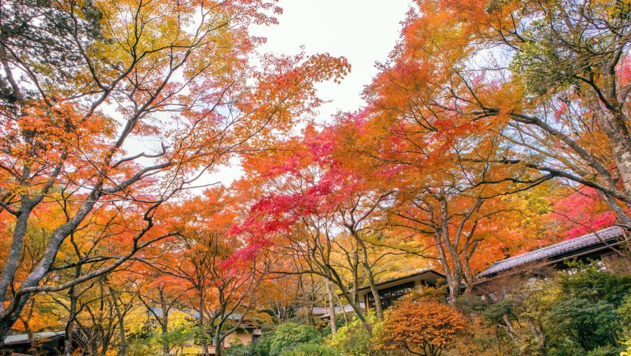 Gora Kansuiro Hakone Eksteriør bilde